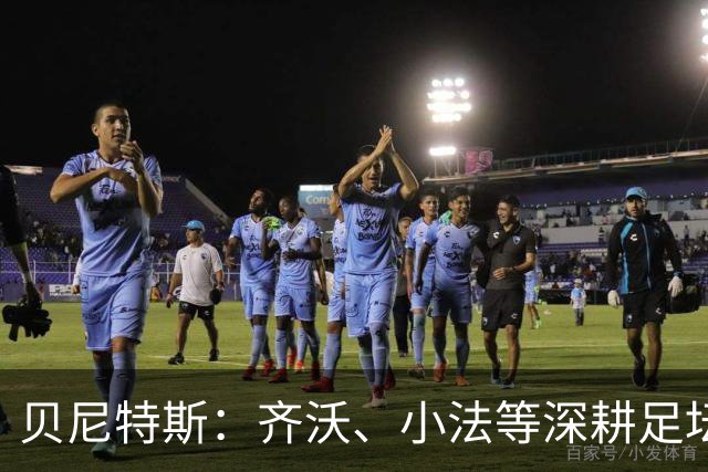 贝尼特斯：齐沃、小法等深耕足坛的人，就是意甲球队最可靠的底气